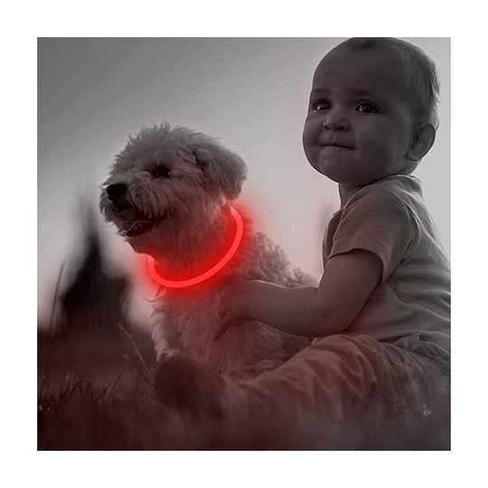 Led Dog Collar, usb Rechargeable, Light Up Dog Collar for Night Safety, Fashionable Light Up Collar for Small Medium Dogs (1 Pack, Red, 34cm)