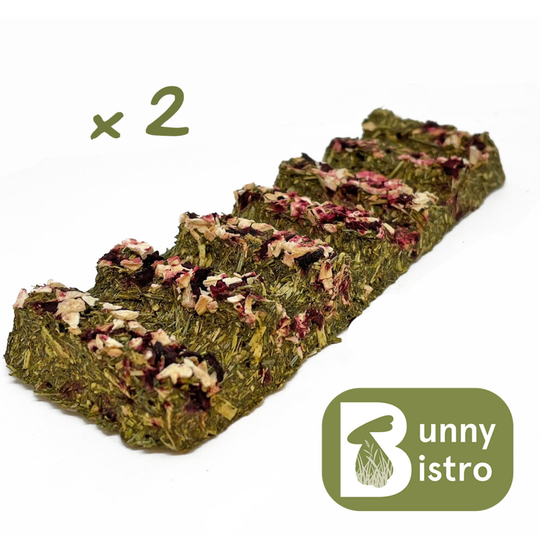 (x2) Bunny Bistro Natural Veggie Forage Bars - Guinea Pig, Rabbit treats