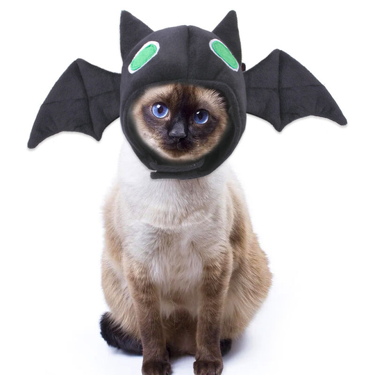 Pet role-playing hat Teddy dresses up as a bat headdress cat hat cat headcover 28 * 18 * 3cm