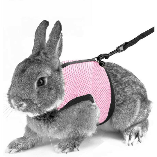 Modou - Soft Harness with Leash for Rabbits Hamsters Cats, m, Pink