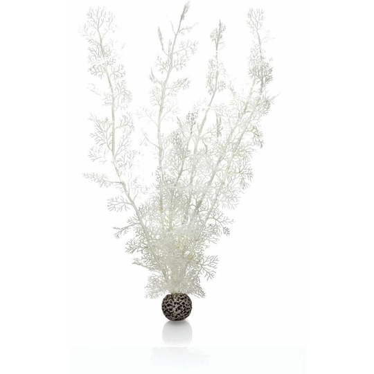 Sea Fan, Extra Large, White - Biorb