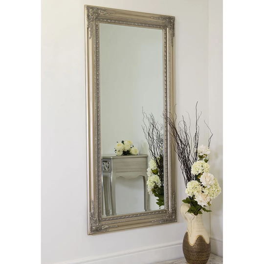 Coombs Wood Framed Wall Mounted Accent Mirror in Silver