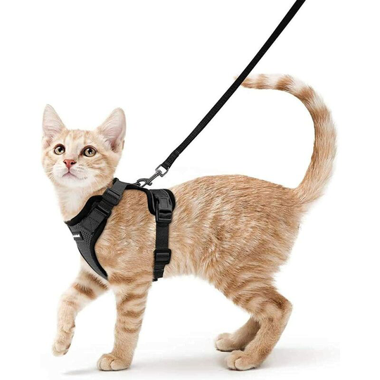 Ilovemilan - Cat Harness Small Dog Leash Adjustable Kitten Harness Black s Collar Reflective Cat Harness Breathable Vest for Rabbit, European Cat,