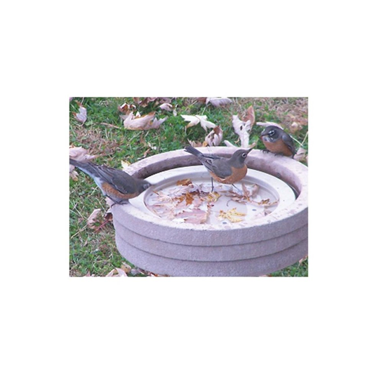 Songbird Essentials SE6017 Bird Bath Raft