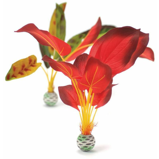Silk Plant, Large, Red/Green - Biorb