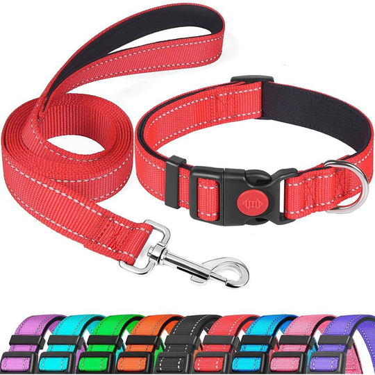 Reflective Dog Collar with Safety Lock Buckle, Adjustable Nylon Collars for Puppy, Small, Medium, Large and Extra Large Dogs (1 Pack, Red, s)