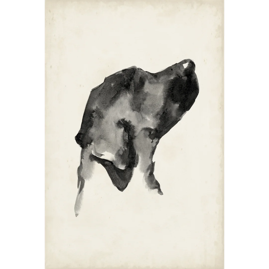 Puppy Profile I by Ethan Harper - Wrapped Canvas Painting