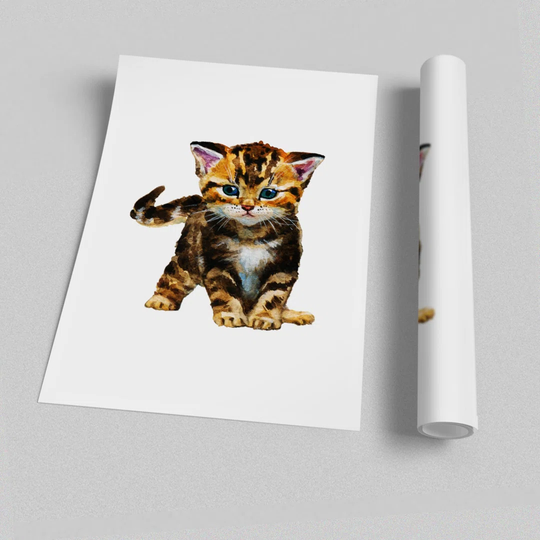 Tabby Kitten Cat - Graphic Art Print on Paper