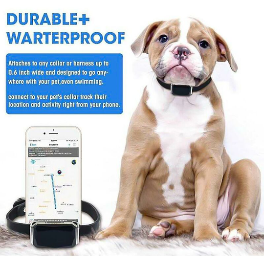 Multifunctional Dog gps Collar Locator with Smart Pet Tracker - gps Trackers