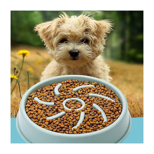 Cat Dog Feeder Puppy Non-Slip Dog Food Bowl Safe And Harmless Dog Products Blue 1pcs