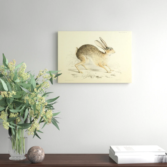 'Vintage Black Tailed Jack Rabbit' by Joseph Wolf Painting Print on Canvas