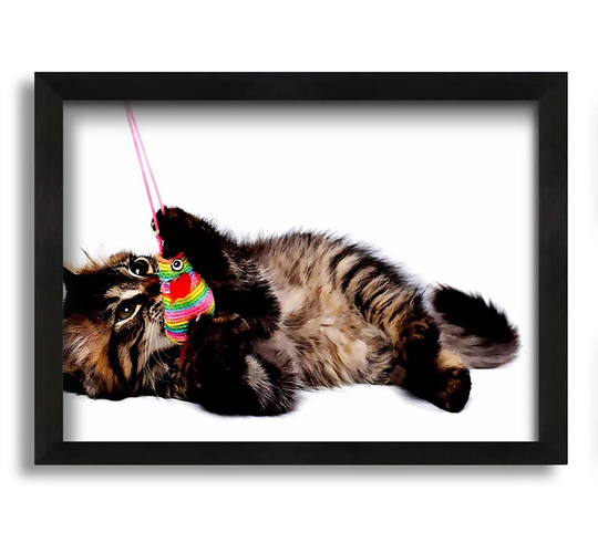 Kitten Play - Picture Frame Graphic Art on Canvas