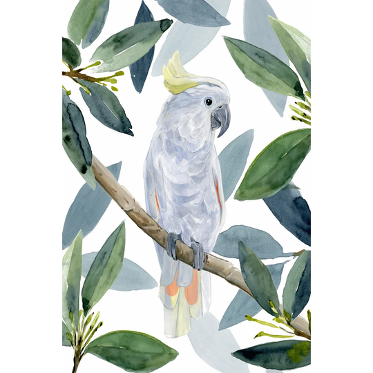 Cockatoo Perch I by Annie Warren - Wrapped Canvas Painting