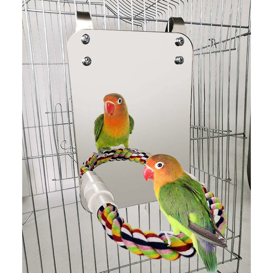 7 Inch Bird Mirror Cord Parrot Swing Toy, Parrot Cage Parrot Toy Parrot Pet Bell Interactive Toy Thsinde