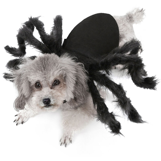 Halloween Dogs Cats Spider Costume Pet Party Outfits for Small Dogs Cats
