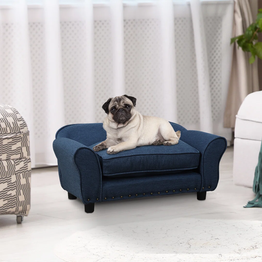 Eagle Dog Sofa in Blue