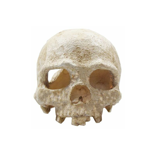 Aquarium Human Skull Decoration, Landscape Accessories for Fish Tank Cave