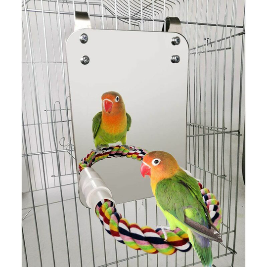 Morejieka - 7 inch bird mirror with rope perch parrot mirror cage bird toy swing parrot cage toy parakeet parrot parrot parrot bird canary a