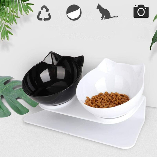 Cat Bowls,Double Cat Bowl With Raised Stand,15°Tilted Platform Cat Feeding Bowl,Detachable,Anti-Spill Pet Feeding & Watering Bowl For Cats And Small