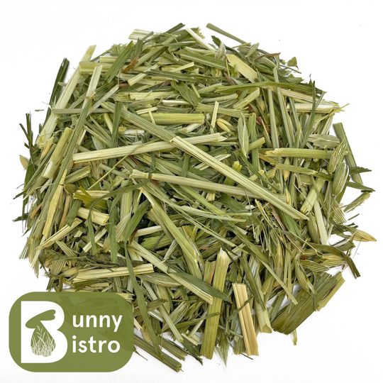 (1kg) Dried Green Oat - Rabbit, Guinea Pig, Natural Food, Botanical
