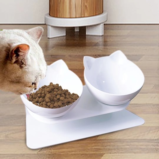2-Bowl 15 ° Inclined Cute Plastic Pet Feeding Bowl (Two White Bowls)