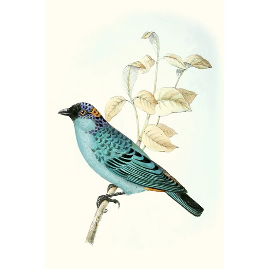 On Perch XII - Painting Print on Canvas