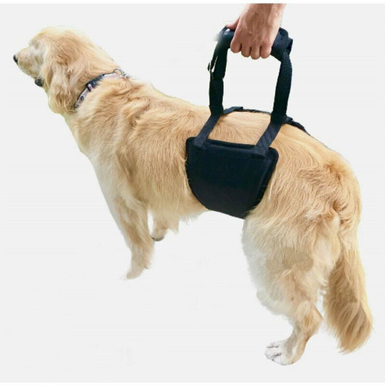 Morejieka - Dog Lift Harness Dog Support Sling Aid Mobility with Handle to Lift Pets Front Rear Legs for Senior Dog Weak Legs Surgery Rehabilitation