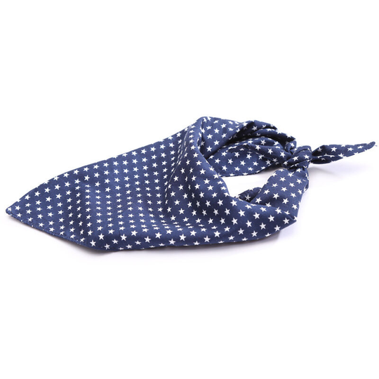 Cat Dog Mouth Scarf, Pet Supplies, Cat Dog Scarf, Double l Cotton Triangle Towel