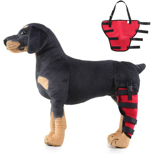 Doggage for dog shoes for dogs with joint hip dog and common dogs for dogs of RED joint, left-leg-s