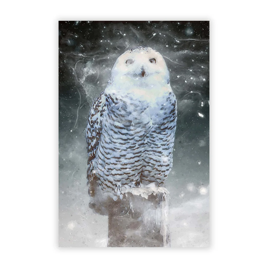 'Snowy Owl on A Perch' - Unframed Graphic Art Print on Paper