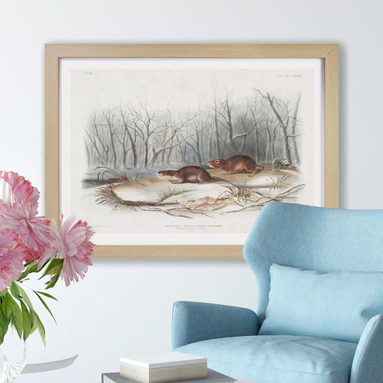 'Meadow Mouse' by J.W. Audubon - Picture Frame Painting Print on Paper