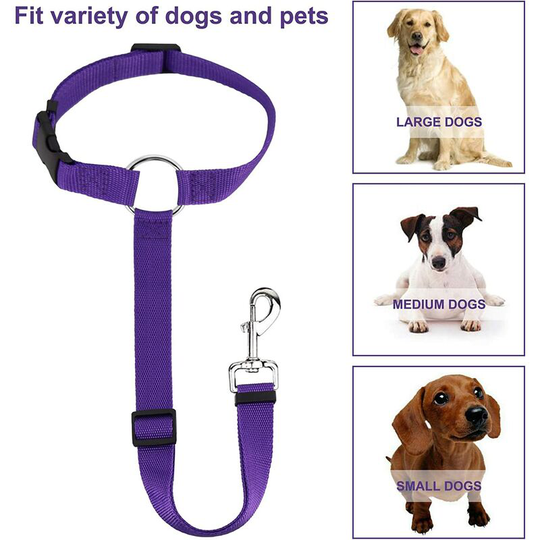 Litzee - Set of 2 Dog Seat Belts for Universal Backseat, Adjustable and Durable Dog Car Harness with Carabiner, Dog Seat Belt for Car, Blue