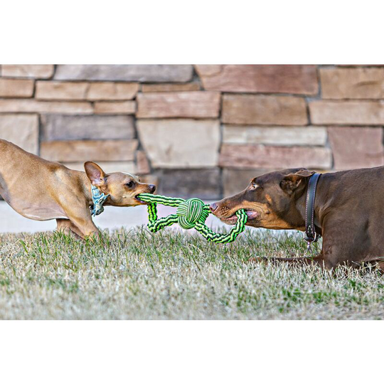 Gentle Tug Rope Toy - Large/Xlarge Green/Black - Jolly Pets