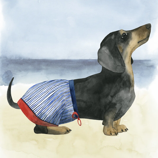 Hot Dog IV by Grace Popp - Wrapped Canvas Art Prints