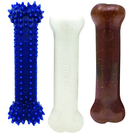 Interpet Nylabone Puppy Starter Kit (One Size) (Multicoloured) - Multicoloured