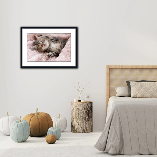 Sleeping Kitten - Picture Frame Photograph Print on Acrylic
