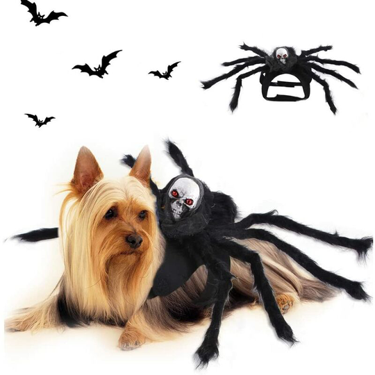 Bat Wings for Dog Cat Fancy Dress Christmas Pet Halloween Costume (Small Spider Costume for Cats,S)