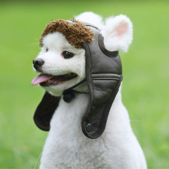 (Size S, head circumference 30cm)Cool Dog Aviator Dog Cap Pet Accessories Dog Caps Pet Hats Autumn Winter Pilots Hat