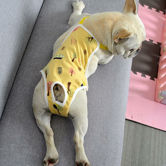 Pet Sanitary Pants Adjustable Band Menstruation Shorts Washable Dog Diaper Indoor Pet Physiological Pants (m)