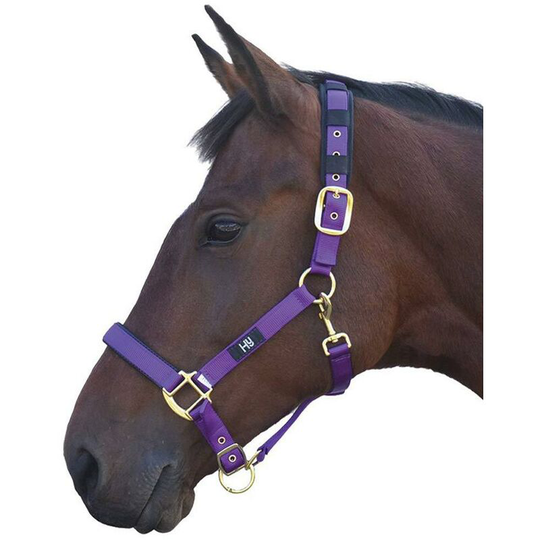 Hy Deluxe Padded Head Collar (Pony) (Purple) - Purple