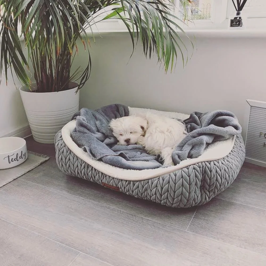 Charlie Bolster Cushion in Grey