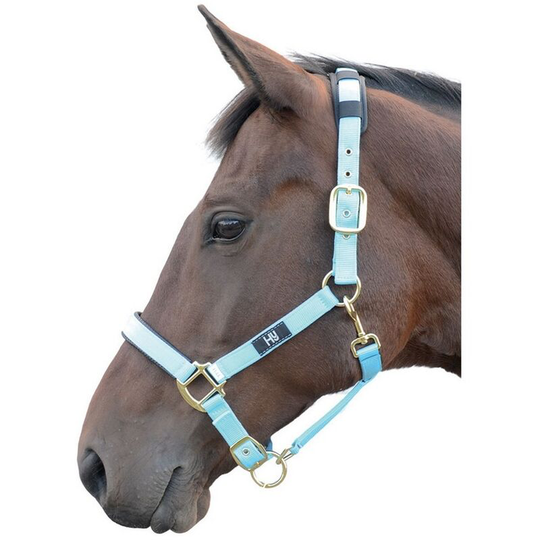 Hy Deluxe Padded Head Collar (Cob) (Bright Blue) - Bright Blue