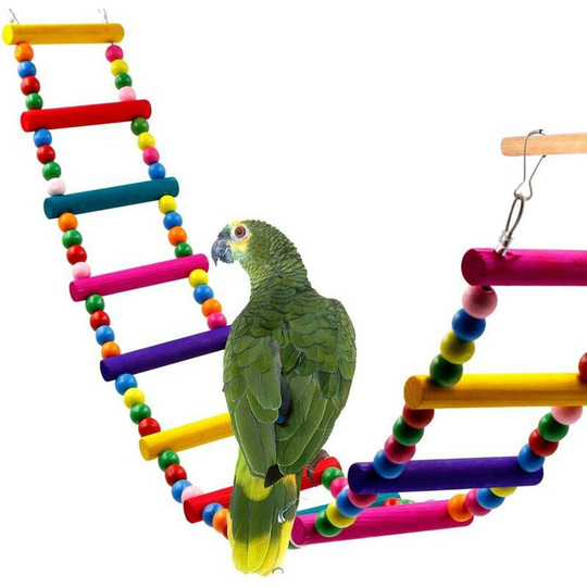 Leiter Vogel Spielzeug Holz Regenbogen Brücke Schaukeln für Papageien Haustier Trainning