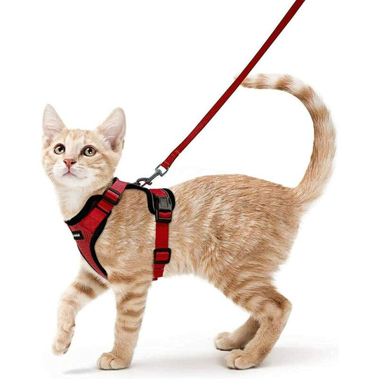 Modou - Cat Harness Small Dog Leash Adjustable Kitten Harness Red xs Reflective Cat Harness Collar Breathable Vest for Rabbit European Cat Maine Coon