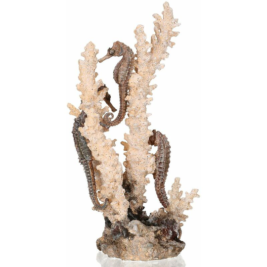 Oase Seahorse