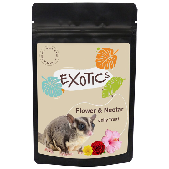 (70g) Exotics Sugar Glider Jelly-Flower & Nectar 70g