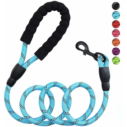 Long Rope Leash for Training Large, Medium and Small Dogs, Ideal for Training, Playing, Camping or Backyard (Blue)