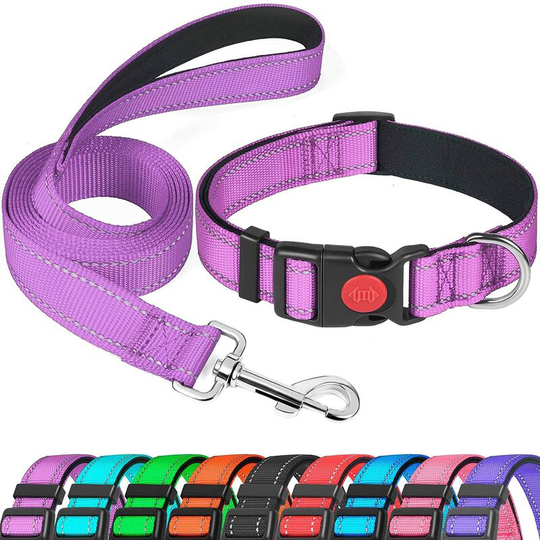 Reflective Dog Collar with Safety Lock Buckle, Nylon Adjustable Collars for Puppy, Small, Medium, Large and Extra Large Dogs (1 Pack, Purple, L)