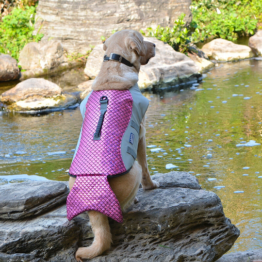 Reflective Stripes Adjustable Swimwear Protective Swimsuit Dog Suits Pet Supplies Pet Swimwear