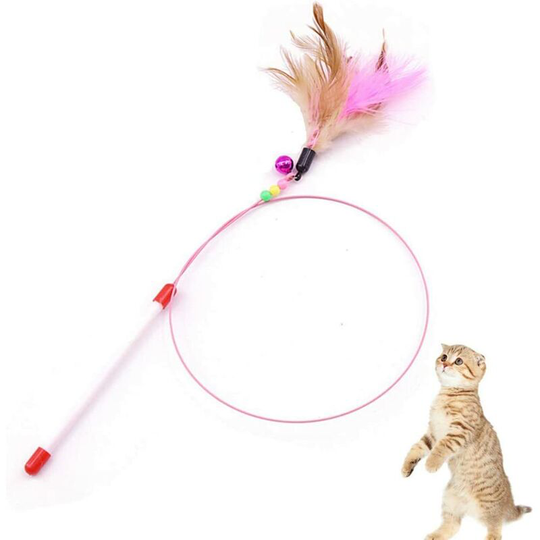 Cat Feather Toy Pet Training Teasing Interactive Toy Kitten Chaser for Exercise Play Fun - Litzee